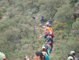 20080730174353-clip-image002.jpg